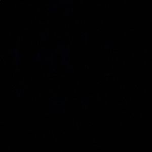 Meet your Posher, Kali